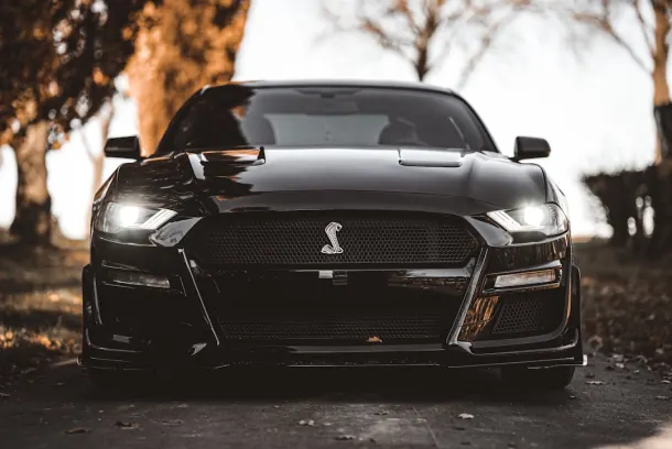 לאקלנד קזינו אפליקציית Android/iOS